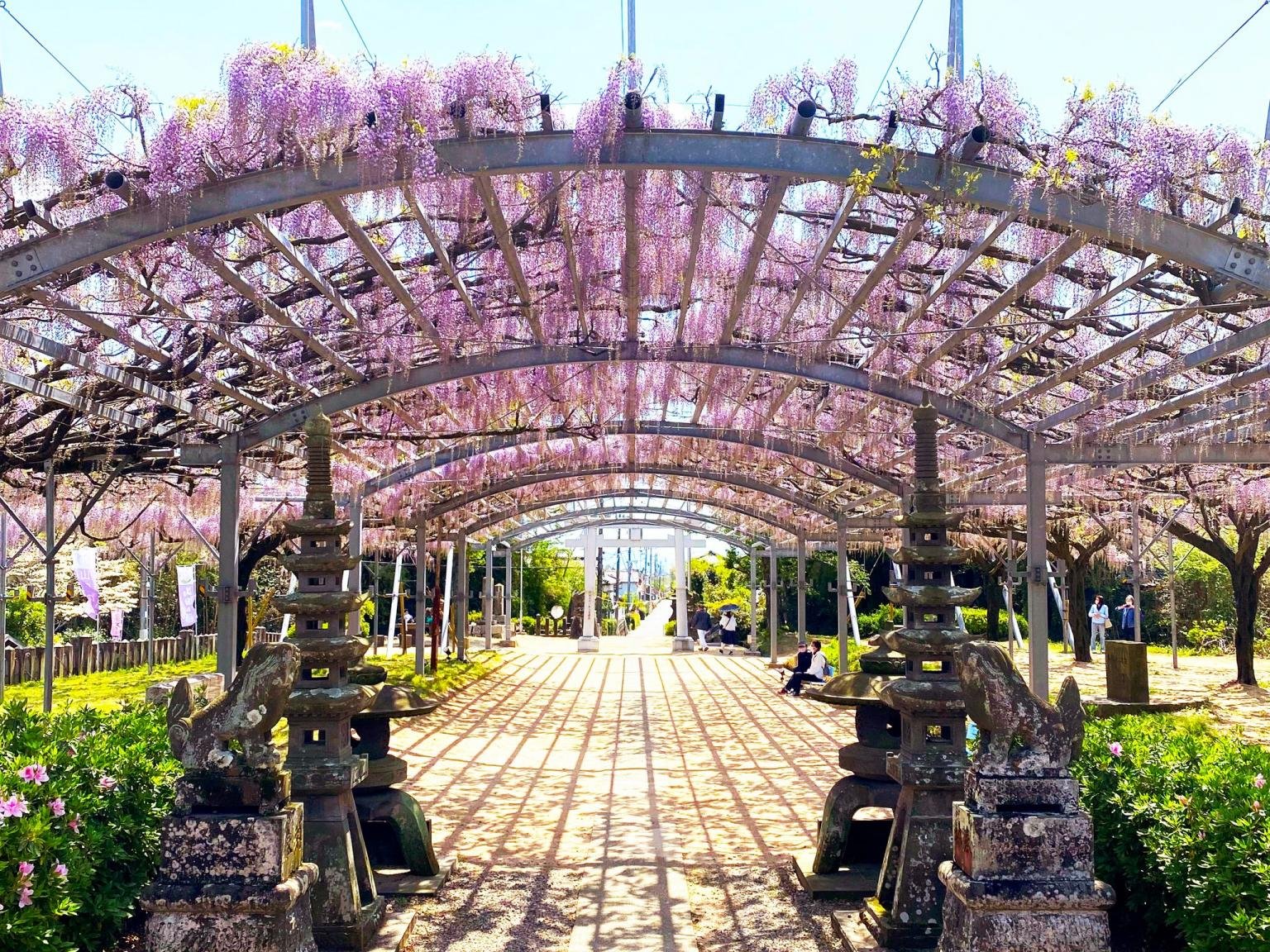 ⛩️ 야마다 히요시 신사 (야마다 히요시 진자) 이미지 1